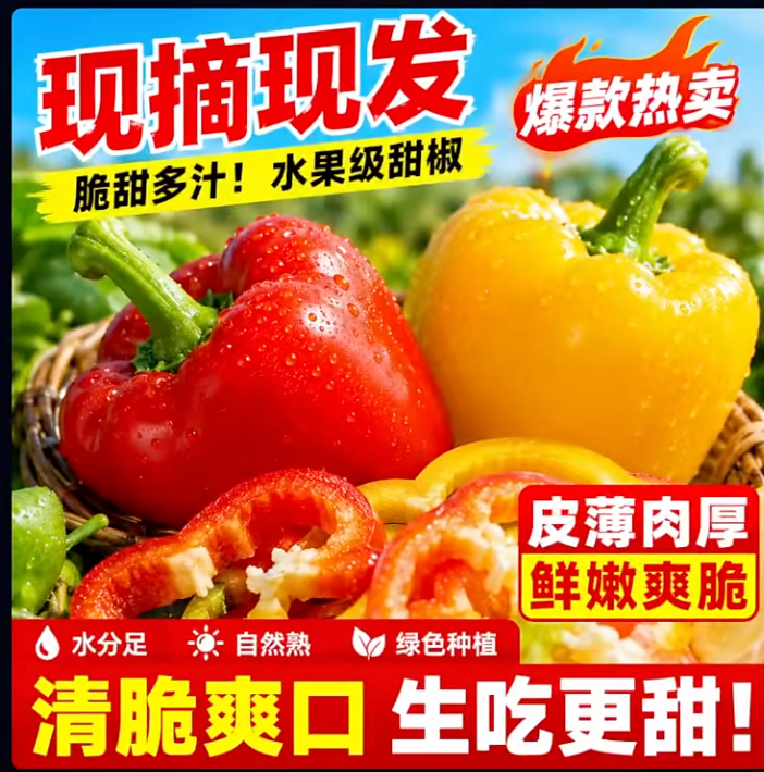 6a4cb267e31a2.png